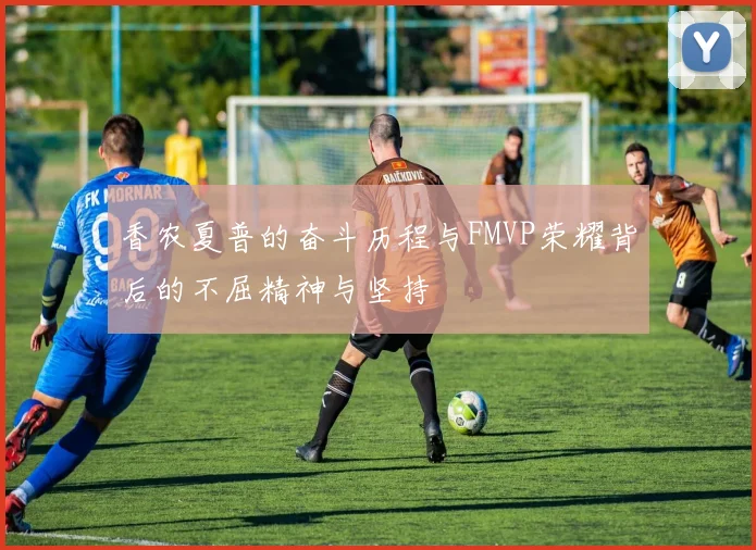 香农夏普的奋斗历程与FMVP荣耀背后的不屈精神与坚持