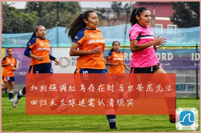 加利强调红鸟存在时马尔蒂尼无法回归米兰球迷需认清现实